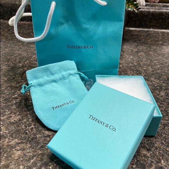 Tiffany & Co. Diamonds by the Yard Single Diamond Pendant - Picture 6 of 6